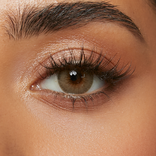 Burnt Butter Hazel (1-Day)