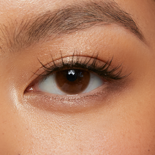 Manhattan Brown (1-Day)