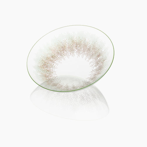 Acacia Olive (1-Day)