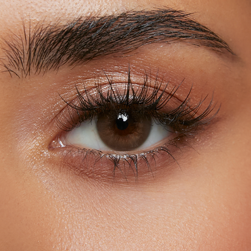 Nirvana Brown (1-Day)