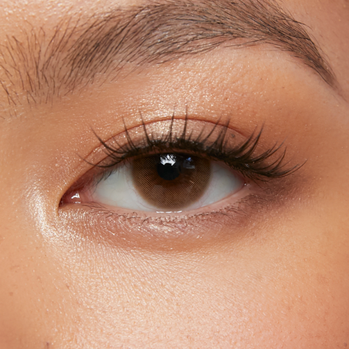 Piccolo Brown (3-Month)