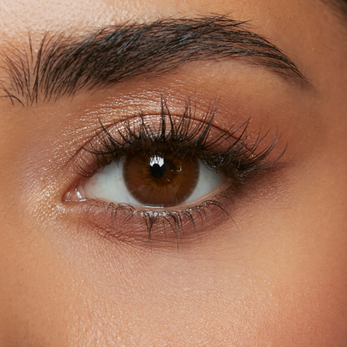 Sunset Brown (3-Month)