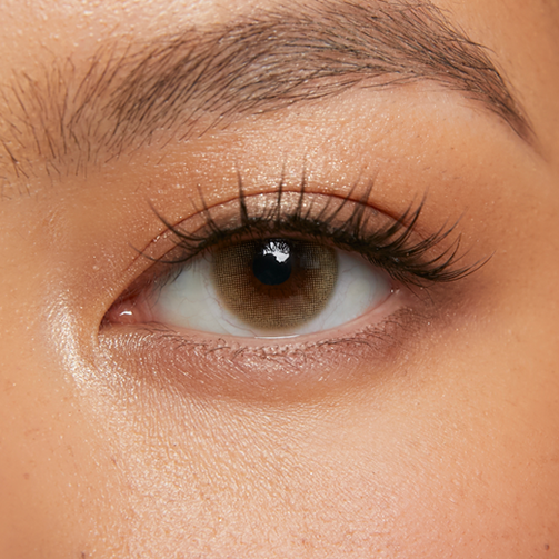 Toasted Honey (1-Day)